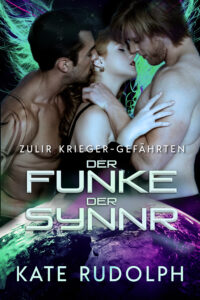 Book Cover: Der Funke der Synnr